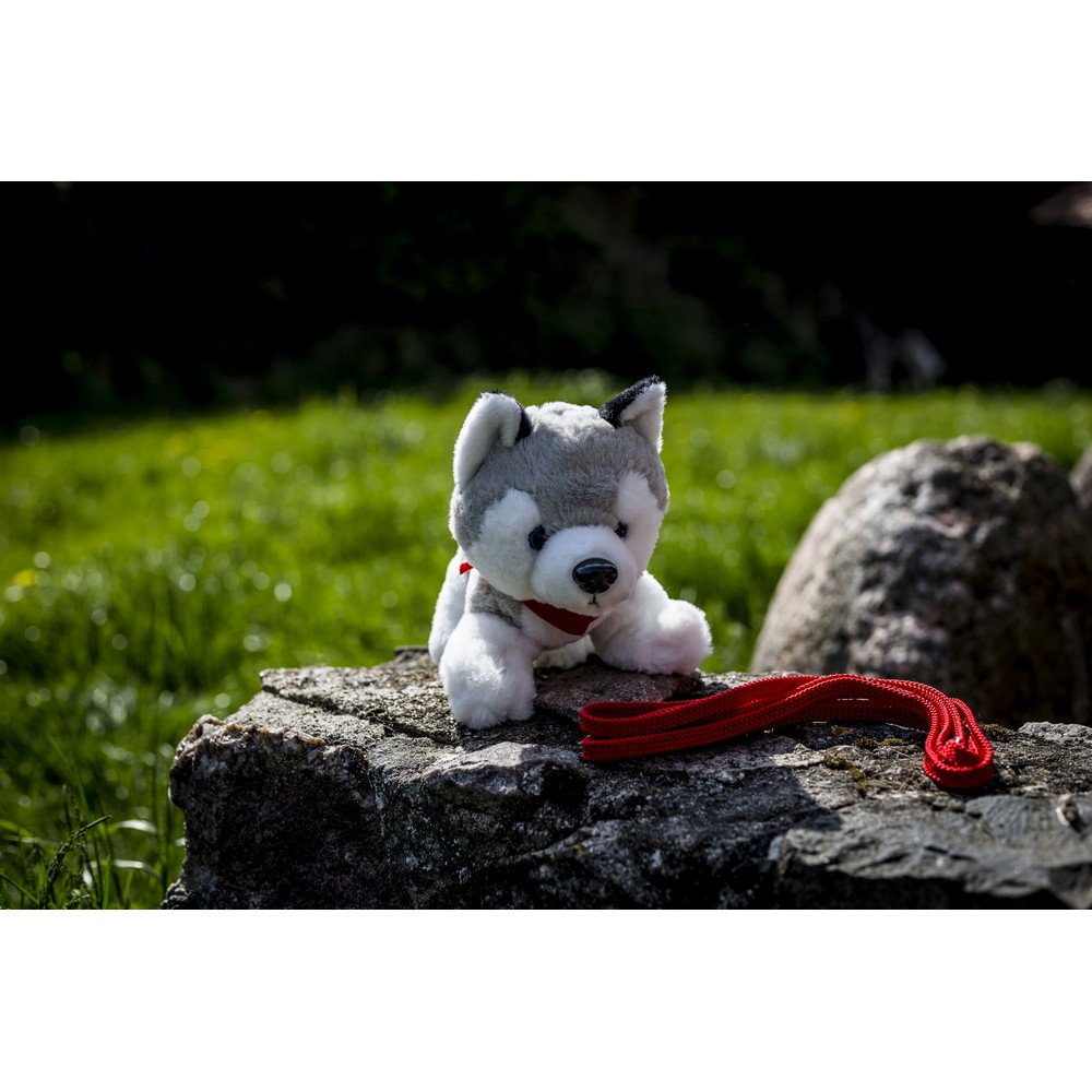 Hund Husky mit rotem Halstuch | Trooper in Grau, Ansicht 3