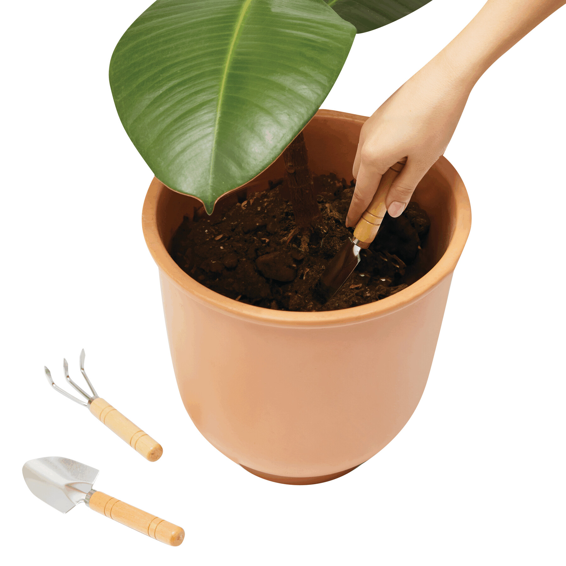 Garten-Set | Plant It