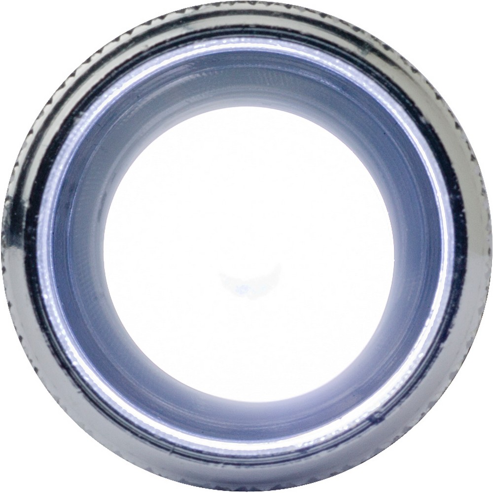 Schlüsselanhänger mit 1 LED-Lampe in Schwarz